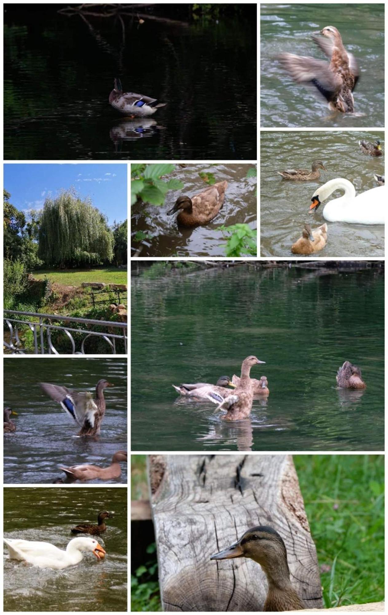 O Jardin De Boutancourt 빌라 외부 사진