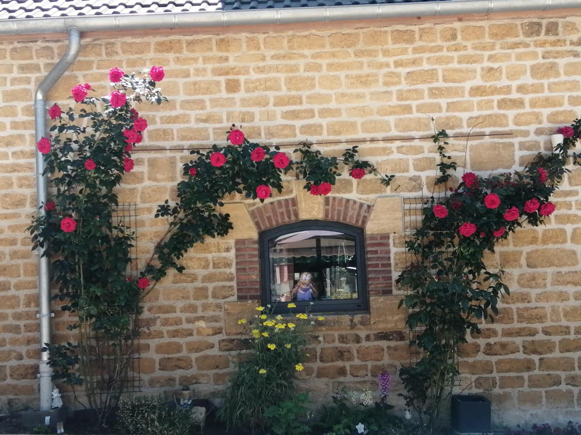 O Jardin De Boutancourt 빌라 외부 사진