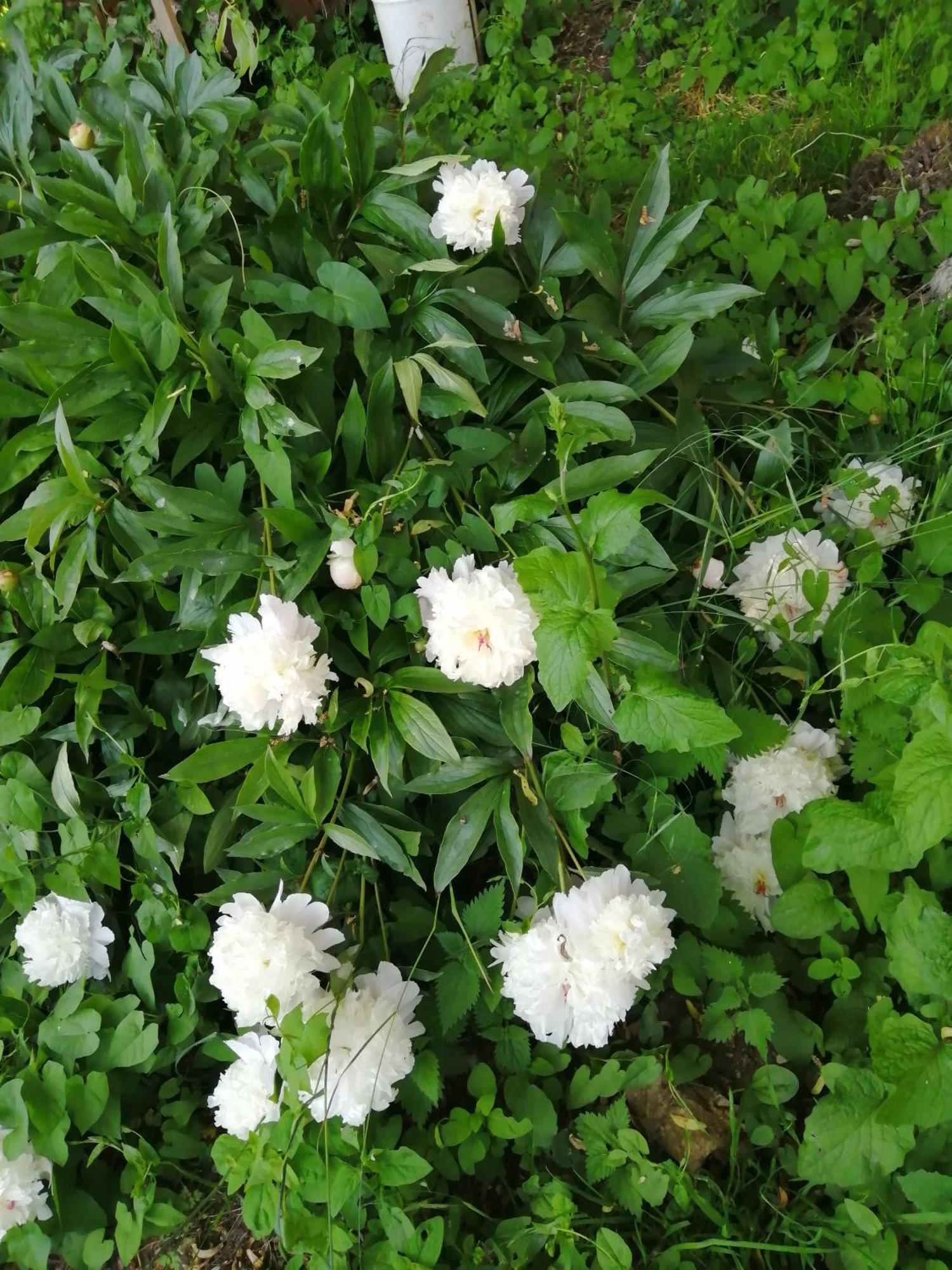 O Jardin De Boutancourt 빌라 외부 사진