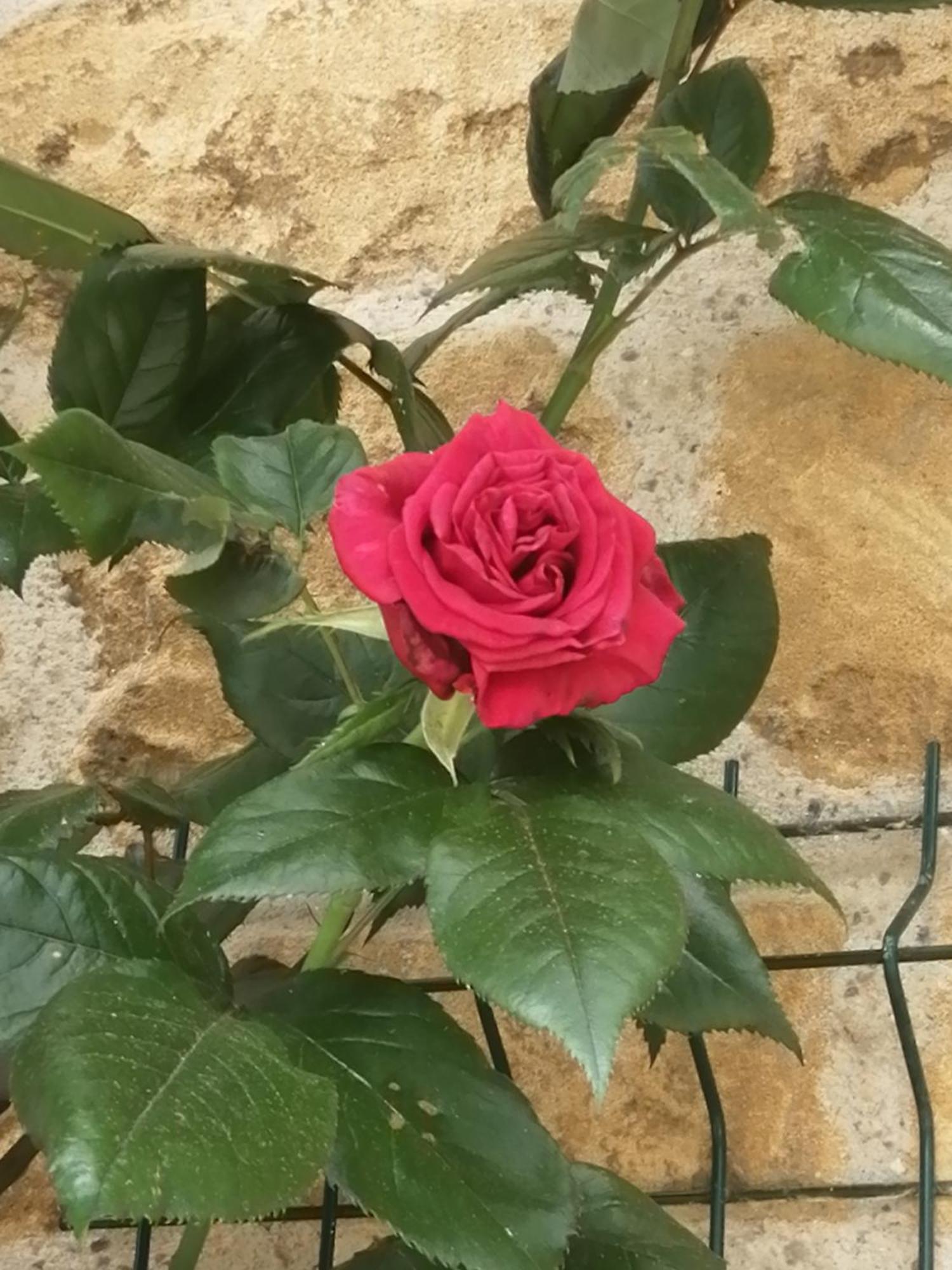 O Jardin De Boutancourt 빌라 외부 사진