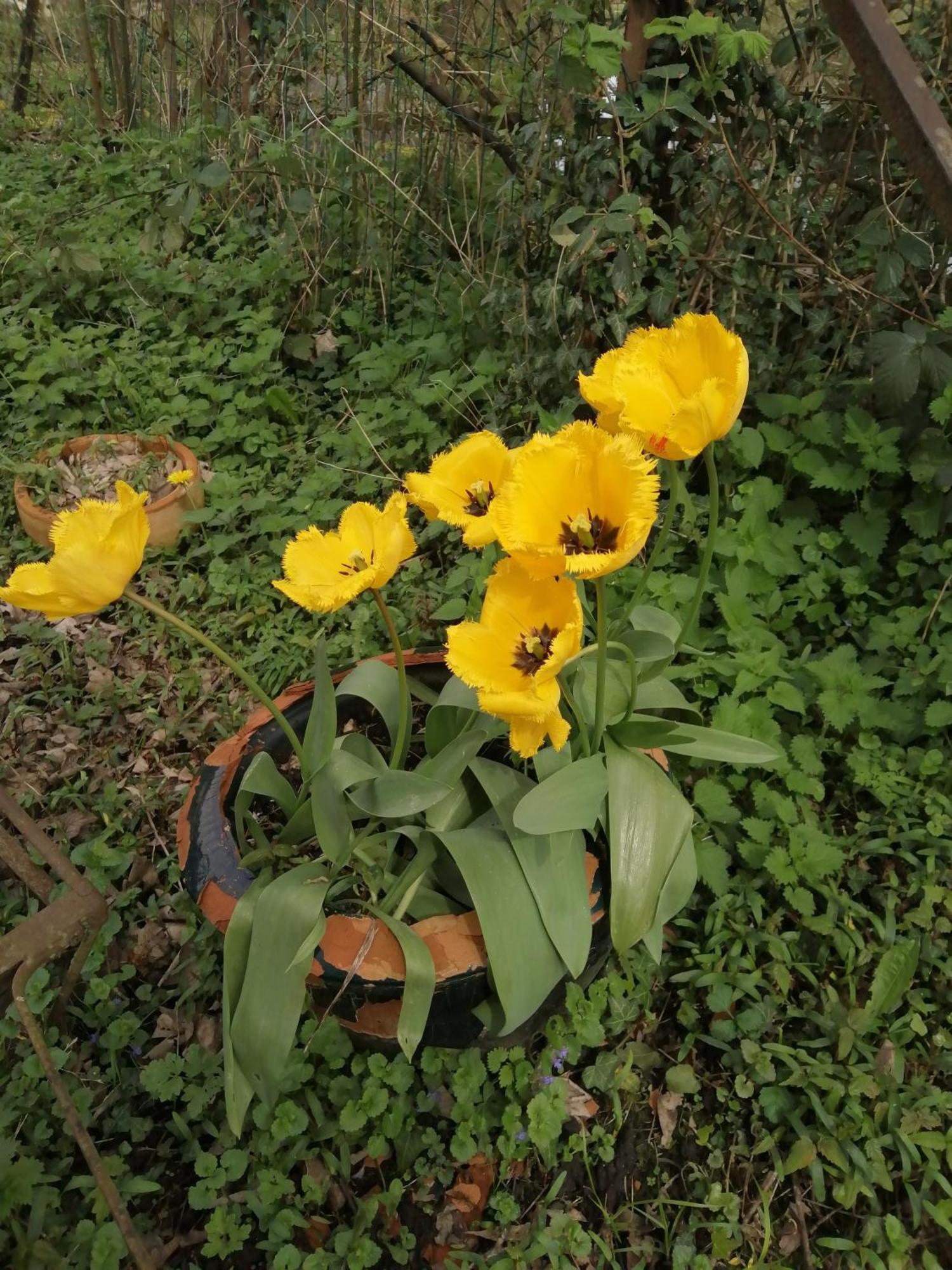 O Jardin De Boutancourt 빌라 외부 사진