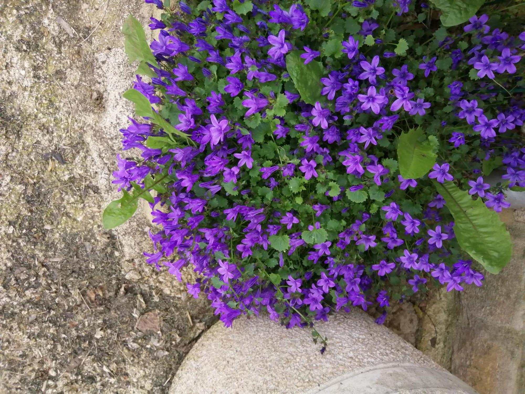 O Jardin De Boutancourt 빌라 외부 사진