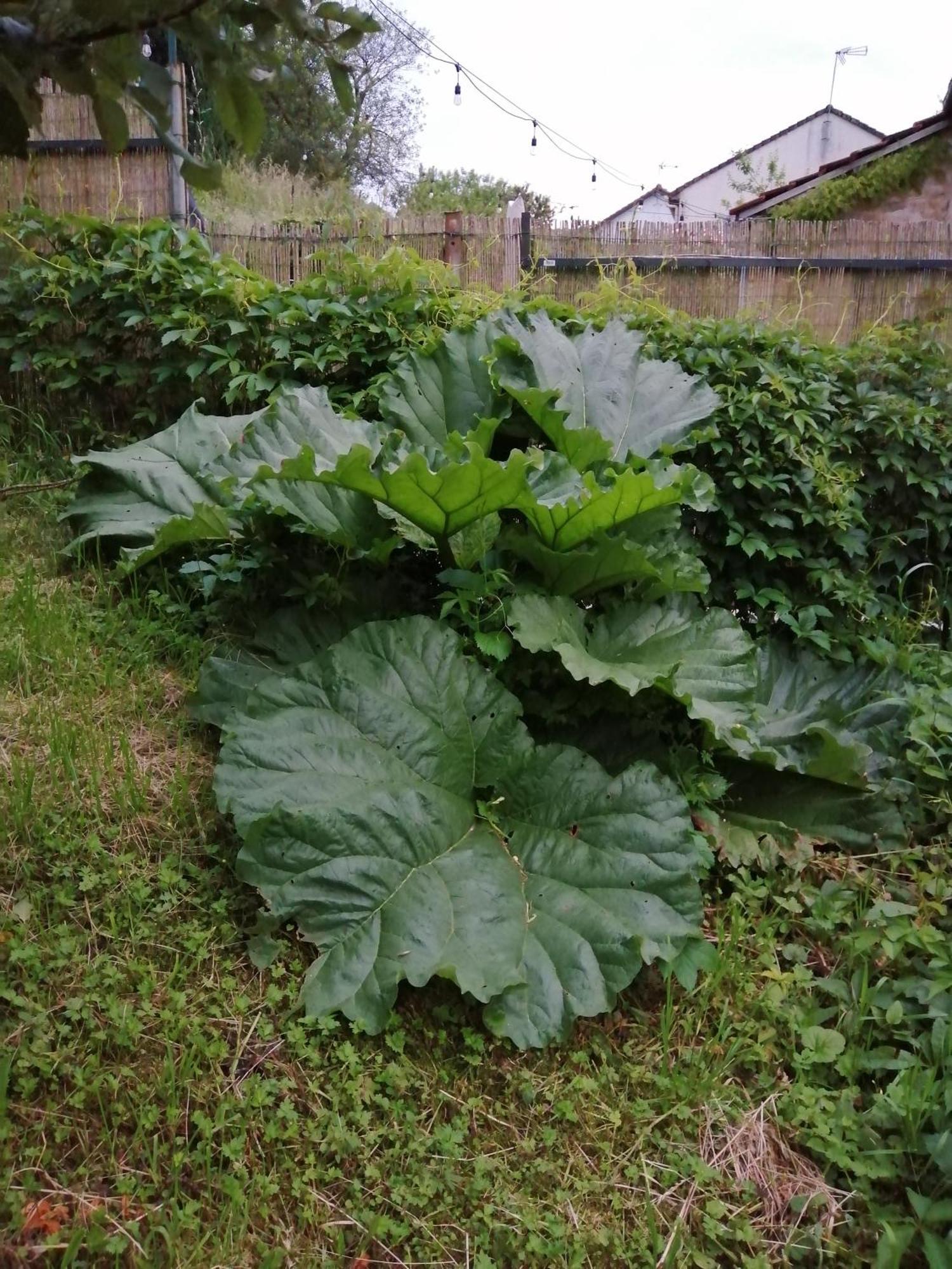 O Jardin De Boutancourt 빌라 외부 사진